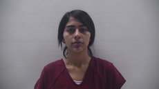 Booking photo of ZARATE ALIS ARIANA
