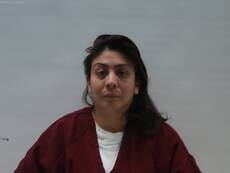 Booking photo of CASTILLO LUISA GONZALEZ