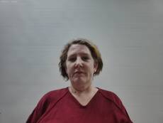 Booking photo of SCOTT JALEENA DIONNE