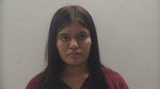 Booking photo of VILLALOBOS YESENIA