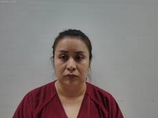 Booking photo of MALDONADO AVELAR SONIA GUADALUPE