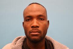 Booking photo of ELTON LOUISTE