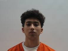 Booking photo of Banales Sebastian Alberto