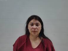 Booking photo of VELEZ JOANN LEE