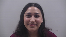 Booking photo of DIAZ YIANEY