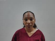 Booking photo of GUTIERREZ SAMYA M