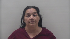 Booking photo of HERNANDEZ ANTONIA