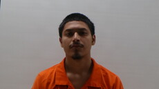 Booking photo of PENA ABELAREDO