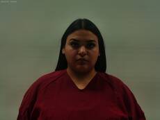 Booking photo of RODRIGUEZ CLARISSA N