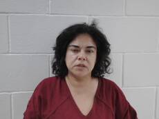 Booking photo of RODRIGUEZ YVETTE