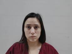 Booking photo of SANCHEZ BRENDA LEE