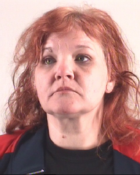 Booking photo of AMANDA LEAMOND
