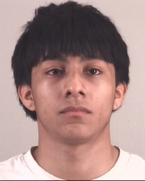 Booking photo of WILLIAM MARTINEZARIAS