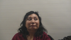 Booking photo of RIOS ULYSSA BELLE