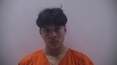 Booking photo of VELA GERARDO