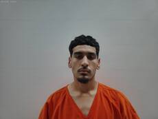 Booking photo of MARES LUIS