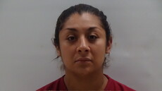 Booking photo of ZAVALA ANA LUISA