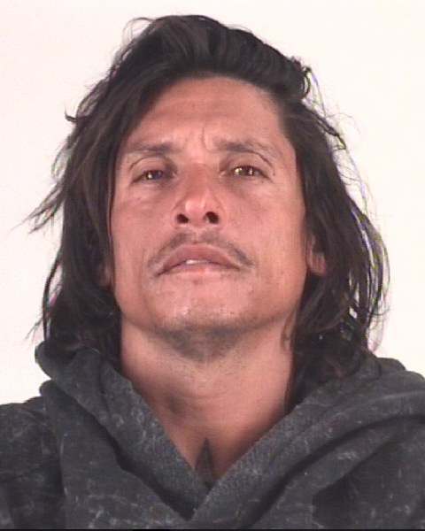 Booking photo of STEVEN HOWELL