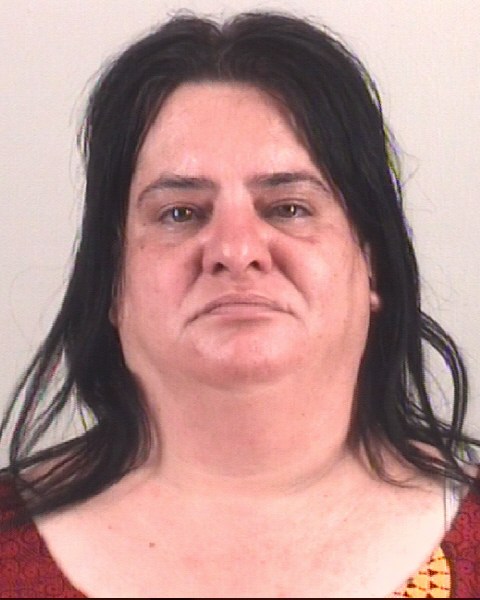 Booking photo of PARIZ MAHMOOD