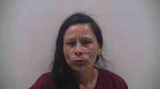 Booking photo of CUELLAR CASTANEDA BERTHA