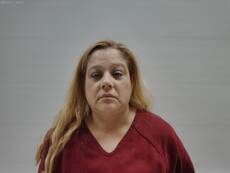 Booking photo of MYERS ELVIRA