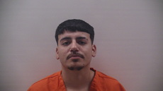 Booking photo of REYNA ALBERTO