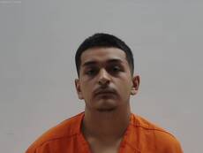 Booking photo of TORRES TELLY