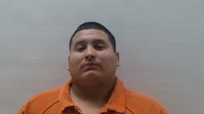 Booking photo of ALDRETE ADOLFO