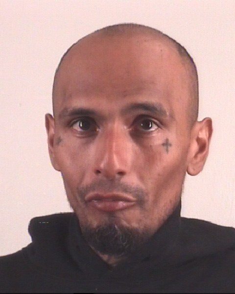 Booking photo of JOE AREVELO