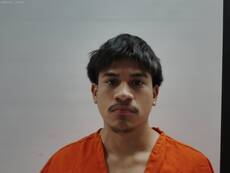 Booking photo of BADILLO PEDRO ANTONIO