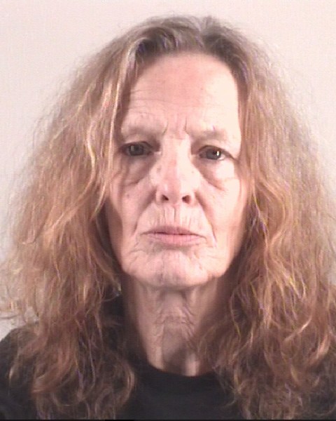 Booking photo of CAROL MCBRIDE LINEHAN