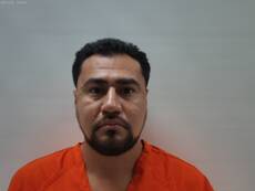 Booking photo of ELIZALDE CASTRO DANIEL