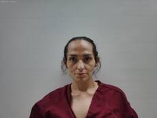 Booking photo of FLORES KARINA