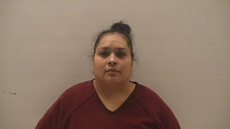 Booking photo of GALVAN LILIA