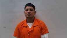 Booking photo of HERNANDEZ LUIS FELIPE