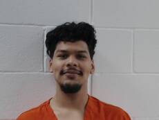 Booking photo of IBARRA MEDELLIN JOSE ANGEL