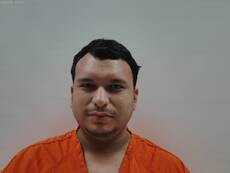 Booking photo of PENA JOSE LUIS