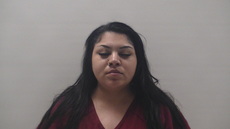 Booking photo of ROCHA PAMELA DESISE
