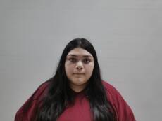 Booking photo of SALINAS AMERICA