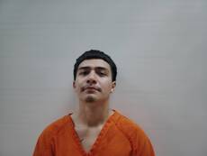 Booking photo of TORRES ANGEL