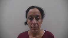 Booking photo of TURNER ALLISON MARGARETE