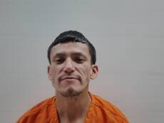 Booking photo of ALANIS MARIO ALBERTO