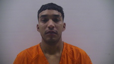 Booking photo of BRISENO CASTRO CESAR