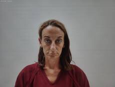 Booking photo of GILLILAND GINA
