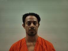 Booking photo of GUZMAN VIRGINIO