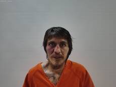 Booking photo of ROSA MATTHEW