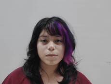 Booking photo of SANCHEZ BRIDGET LYNN