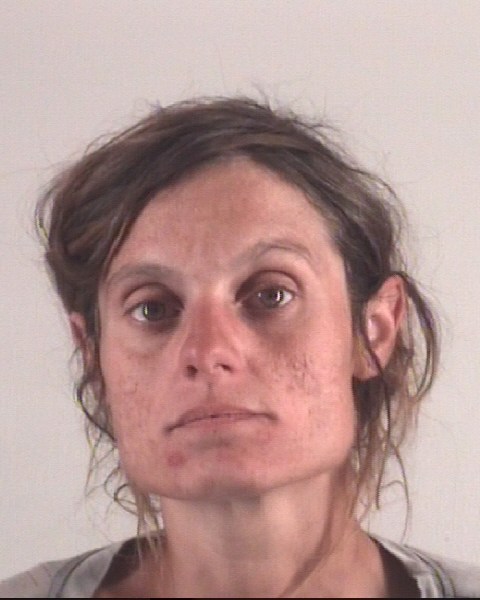 Booking photo of KARA LONG