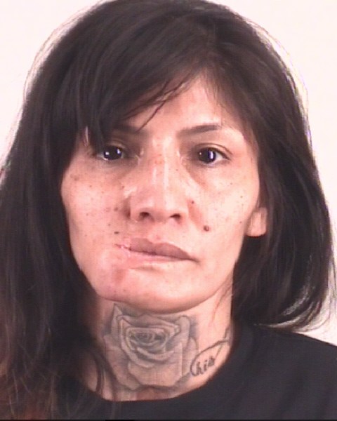 Booking photo of SOPHIA RODRIGUEZ