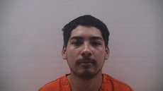 Booking photo of FLORES VERA OBED ALEJANDRO